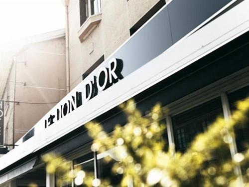 Hotel Brasserie Le Lion D'or